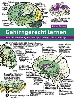 cover image of Gehirngerecht lernen (E-Book)